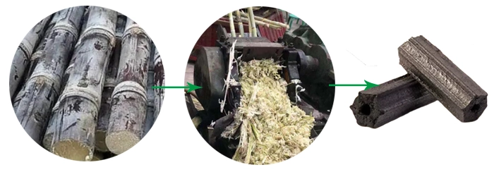produce-briquettes-charcoal-from-sugarcane-bagasse